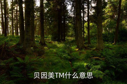 貝因美尾盤(pán)1多手什么意思，貝因美TM什么意思