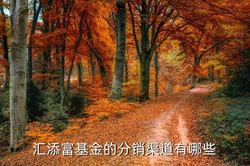 000878基金什么機構(gòu)代銷，匯添富基金的分銷渠道有哪些