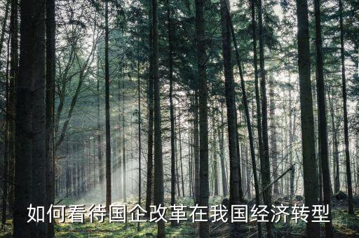 國企改革為什么這么火，最新進展怎么了電信行業(yè)國企改革