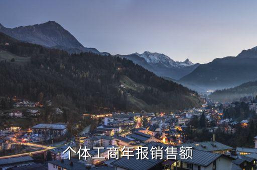 年報銷售總額是什么，全年銷售營業(yè)收入 全年利潤總額 全年虧損額 年末負