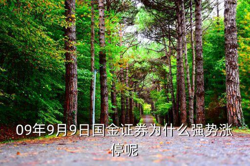 國(guó)金證券為什么漲停，股票為什么會(huì)漲停
