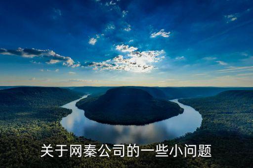 網(wǎng)秦為什么更換獨(dú)立審計(jì)，網(wǎng)秦到底怎么了