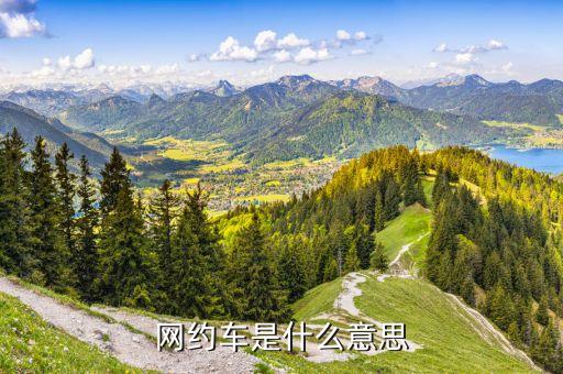 網(wǎng)絡(luò)滴滴什么意思，網(wǎng)約車(chē)是什么意思