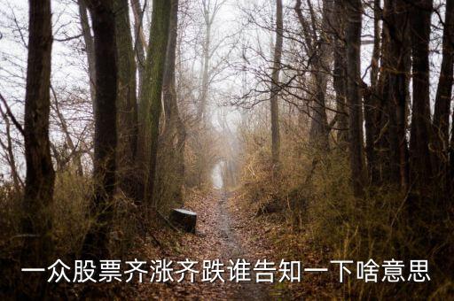 股票量?jī)r(jià)齊跌意味著什么，這幾天大盤量?jī)r(jià)齊跌從技術(shù)角度說(shuō)明什么