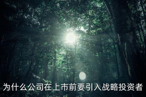 上市為什么要引入風(fēng)投，為什么公司在上市前要引入戰(zhàn)略投資者