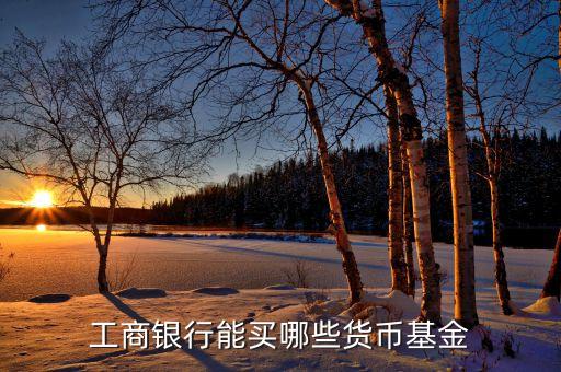 工商銀行賣什么基金，在工商銀行定投什么基金好