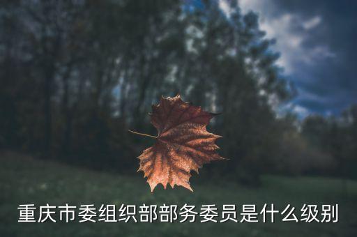 什么是祖代雞，重慶市委組織部部務(wù)委員是什么級別