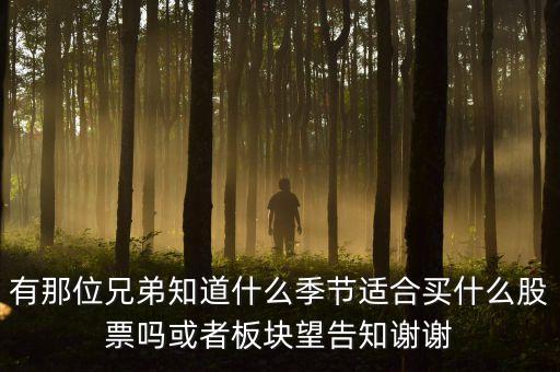 秋天什么股，秋季什么板塊股票好