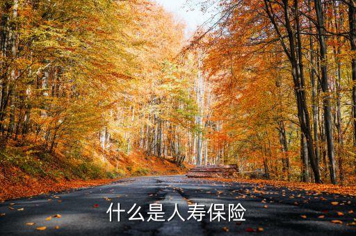 什么叫新型人壽保險(xiǎn)，什么是人壽保險(xiǎn)