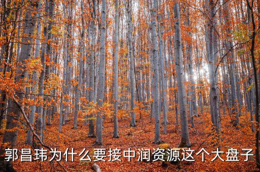 中潤資源為什么停牌，000506中潤資源停牌多久可以復(fù)牌