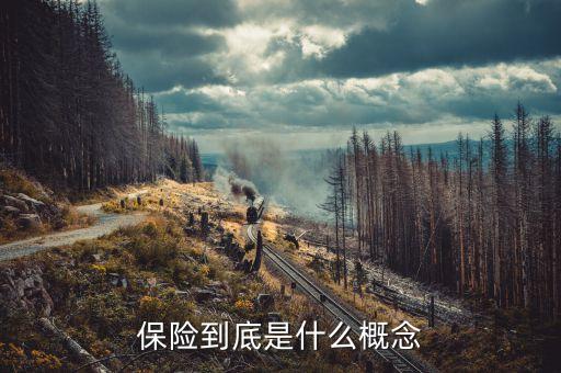 保險究竟是什么，保險到底是什么概念