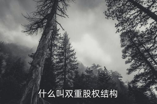什么是雙層董事會(huì)，家長(zhǎng)不提供學(xué)習(xí)費(fèi)用能否貸款
