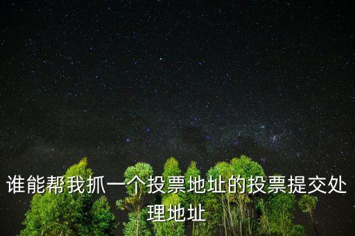 投票提交處理地址是什么，提交投票的問題怎么處理