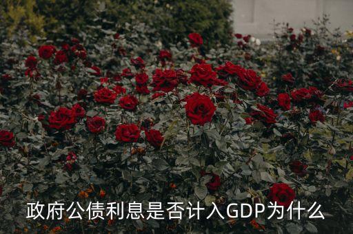 政府公債利息是什么，什么叫政府公債利息