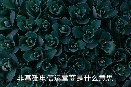 什么是基礎(chǔ)電信運(yùn)營商，請(qǐng)問基礎(chǔ)電信企業(yè)是不是就是指幾大電信運(yùn)營商啊不勝感激