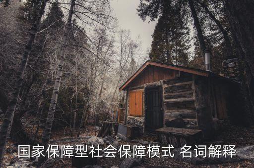 保障型保險(xiǎn)什么意思，國(guó)家保障型社會(huì)保障模式 名詞解釋