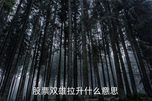 石化雙雄漲停意味著什么，股票雙雄拉升什么意思