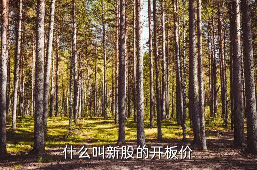 什么是開(kāi)板價(jià)，什么叫新股的開(kāi)板價(jià)