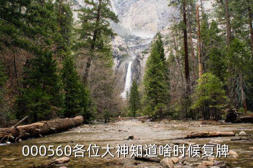上工申貝什么時(shí)候復(fù)牌，請(qǐng)問(wèn)上海建工什么時(shí)候復(fù)牌