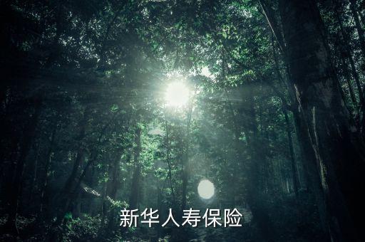 新華保險康典是什么級別，新華人壽保險