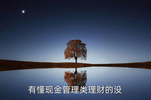 什么是現(xiàn)金管理類產(chǎn)品，簡(jiǎn)述什么是現(xiàn)金管理