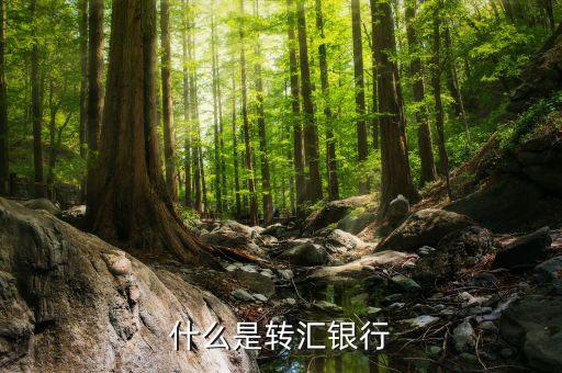 什么叫轉(zhuǎn)匯，在匯兌結(jié)算中轉(zhuǎn)匯是什么意思轉(zhuǎn)匯的收款人必須是原收款人怎么