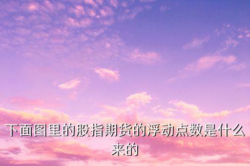 什么叫波動(dòng)點(diǎn)數(shù)，個(gè)人換匯浮動(dòng)點(diǎn)數(shù)到底是什么意思