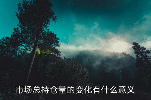 總持倉(cāng)什么意思，基金產(chǎn)品里面股票總持倉(cāng)是什么意思