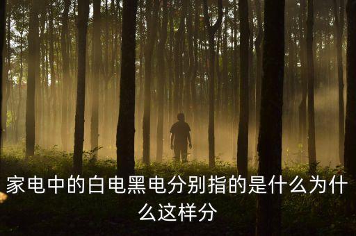 三星白電是什么意思，家電中的白電黑電分別指的是什么為什么這樣分