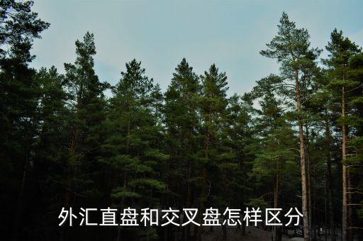 什么叫交叉盤，什么叫交叉盤hg0088誰能跟我指點(diǎn)一下嗎