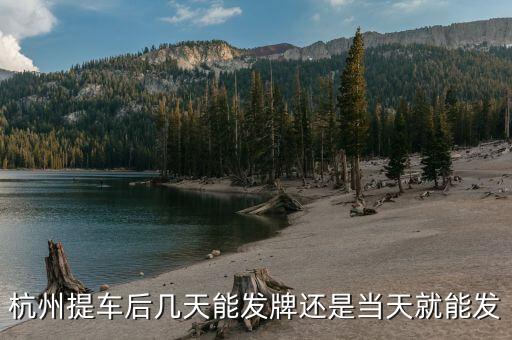 杭州車牌什么時(shí)候發(fā)放，杭州車牌拍好多久拿到
