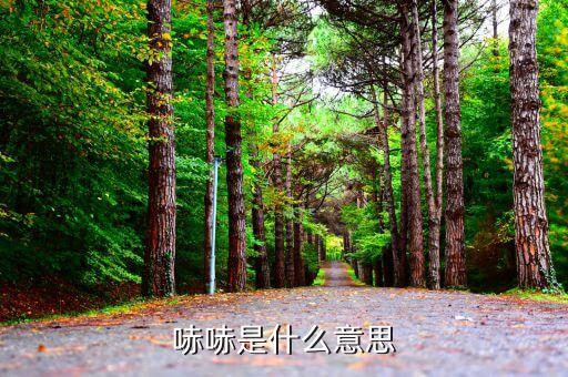 不哧是什么意思，哧哧是什么意思