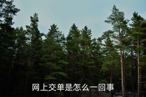 什么叫電子交單，網(wǎng)上交單是怎么一回事