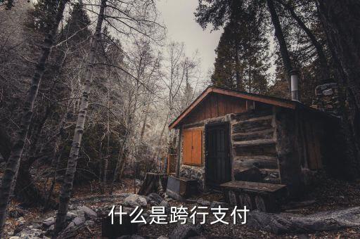 什么是跨行清算，什么叫跨行