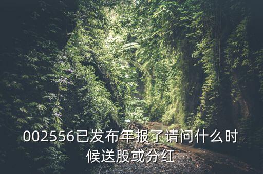 深圳能源什么時(shí)候送股，深圳能源什么時(shí)候送股