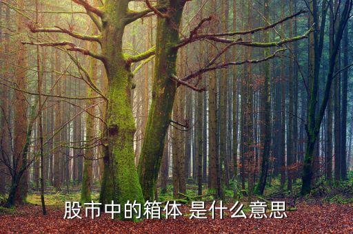 股市箱體是什么，股票的箱體指什么