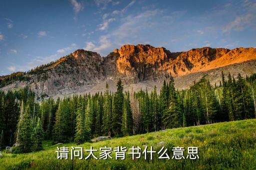 弱背書是什么意思，現(xiàn)在背書是什么意思是能背不能默還是