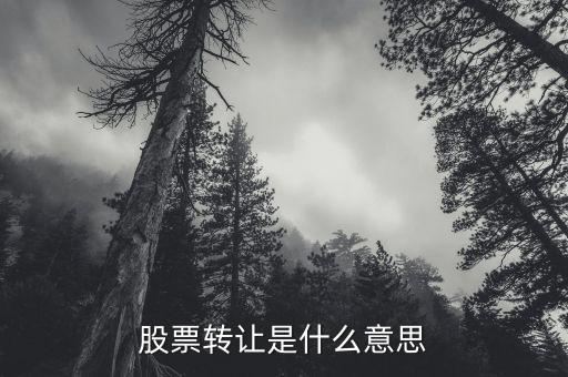 股票轉(zhuǎn)讓是什么意思，股票中的資產(chǎn)轉(zhuǎn)讓是什么意思