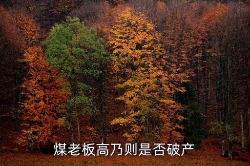 七千萬嫁女煤老板為什么會破產(chǎn)，太原迎賓車站附近最近奇聞