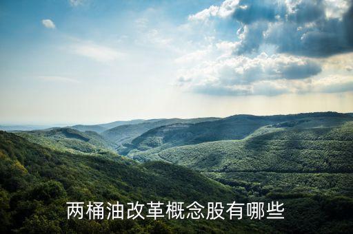 石油濟(jì)柴為什么st，兩桶油改革概念股有哪些