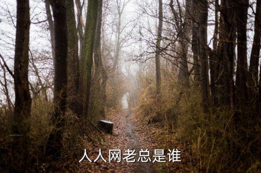 黃秋子是人人貸什么人副總裁，人人貸創(chuàng)始人是誰