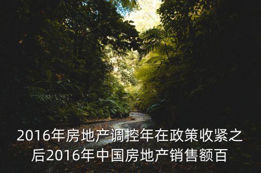 2016房市下一步還能出什么政策，2016年房地產(chǎn)調(diào)控年在政策收緊之后2016年中國房地產(chǎn)銷售額百