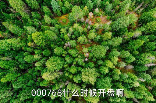 南方軸承什么時(shí)候開(kāi)盤，000768什么時(shí)候開(kāi)盤啊