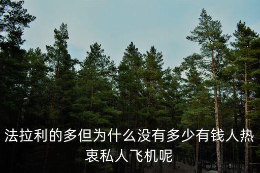 為什么富豪不買大飛機，公務(wù)機失寵富豪不再買貴買大
