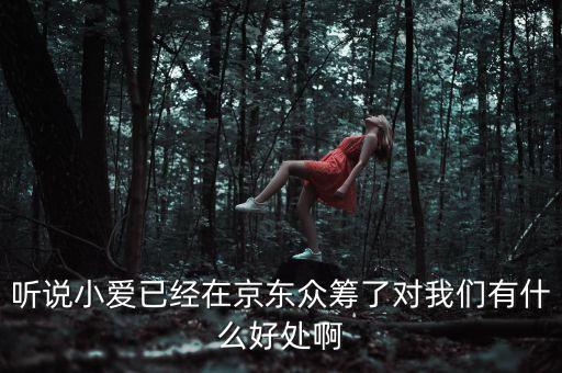 京東jimi機器人有什么作用，jimi 是什么意思
