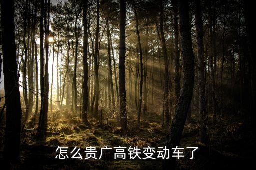 高鐵什么時候變動車，怎么貴廣高鐵變動車了