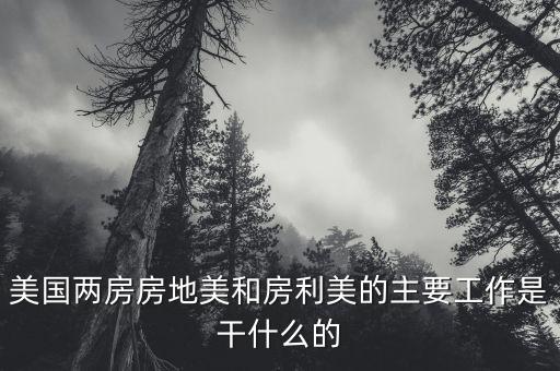 房地美和房利美是干什么的，房地美和房利美是什么意思
