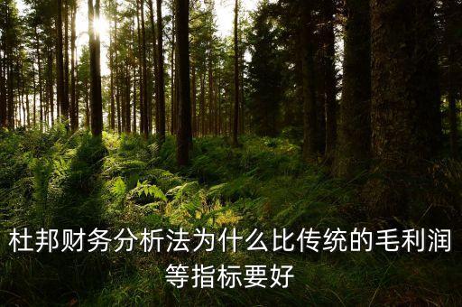 為什么要比較毛利率，杜邦財務(wù)分析法為什么比傳統(tǒng)的毛利潤等指標(biāo)要好