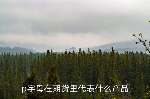pp是什么期貨，聚丙烯期貨是什么