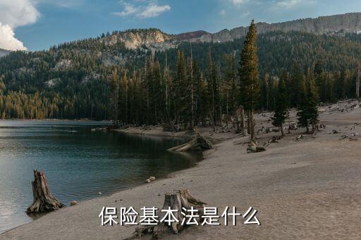 保險基本法是什么，保險基本法是什么